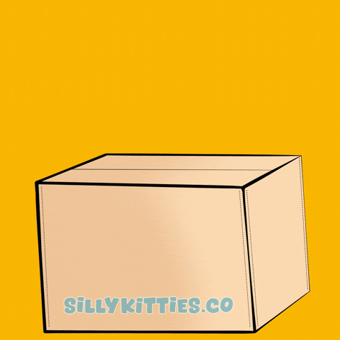 Happy Cat GIF by Silly Kitties