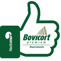 Chapeco Sticker by Nuctramix