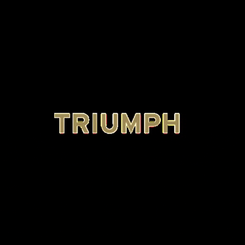 TriumphStudio giphygifmaker triumphstudio GIF