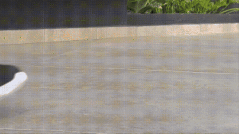 VALEBACU giphygifmaker GIF