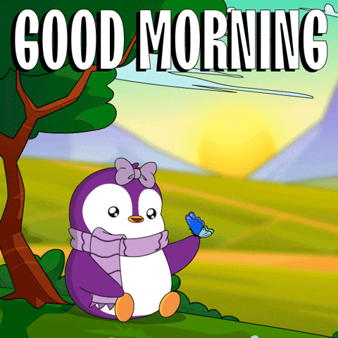 Good Morning Sun GIF by Pudgy Penguins