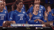 ncaasports ncaa volleyball kentucky wildcats GIF