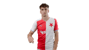 Football Hello Sticker by SK Slavia Praha