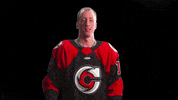 Hockey Echl GIF by Cincinnati Cyclones