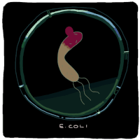 microbe e.coli GIF