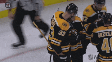 ice hockey hug GIF by NHL
