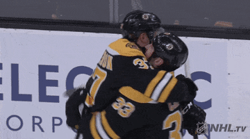 Ice Hockey Hug GIF by NHL