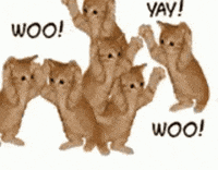 Excited Great Job GIF