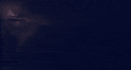 bbc africa landscape GIF by Head Like an Orange