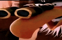 Bird Watching GIF