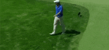 Angry Golf GIF