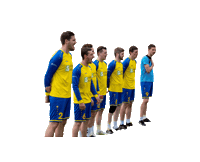 TV-Oberwinterthur fistball tvoberi Sticker