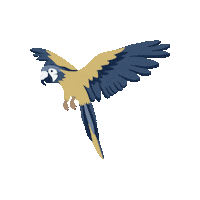 Parrot Sticker by Kyte Baby