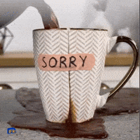 Sorry Borken GIF