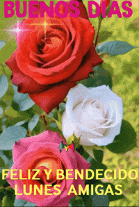 Feliz Sol GIF by Murcianys LLC