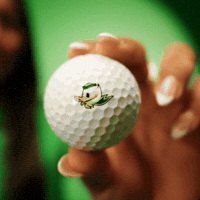 Golf Oregon GIF by GoDucks