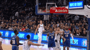 GIF by NBA