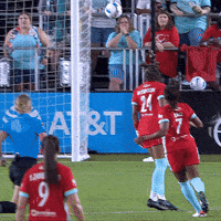 Kansas City Goalkeeper GIF by National Women's Soccer League