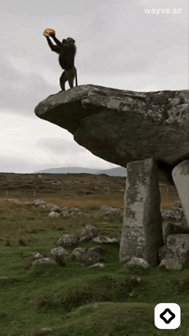 Mood Feels GIF by Darwin