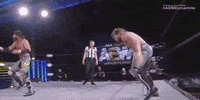 Best Friends Aew On Tnt GIF by All Elite Wrestling on TNT