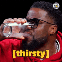 Kevin Hart Comedy GIF by First We Feast