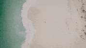 Beach Running GIF by nettwerkmusic