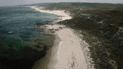 Beach Running GIF by nettwerkmusic