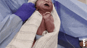 Nikki Bella Baby GIF by E!