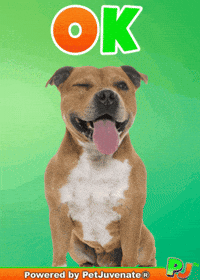 Henlo Hooman Fren GIF by PetJuvenate - PJ