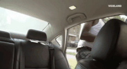 viceland GIF by Last Chance High