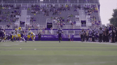 College Football GIF by Northwestern Athletics