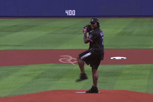 Miami Dolphins First Pitch GIF by Respective