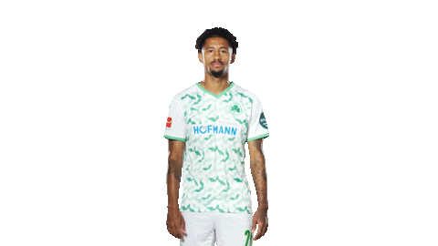 Celebration Goal Sticker by SpVgg Greuther Fürth