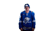 Hockey Thomas Sticker by barys_official