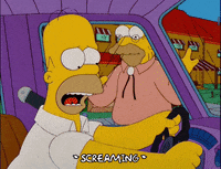 homer simpson GIF