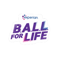 Sticker by Experian