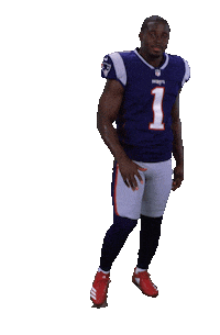 New England Patriots Sticker by NFL