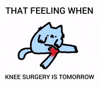 Cat Nub GIF