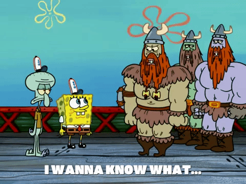 season 6 dear vikings GIF by SpongeBob SquarePants