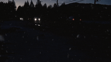 Drive Safe Pine Trees GIF