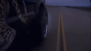 Driving Travis Scott GIF by Respective