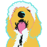 Dog Simon Sticker by Halfsquare Designs