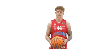 Basketball Hoops Sticker by Basket_fi