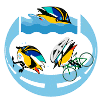 Triatlon Sticker by Santiago 2023