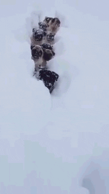 people hands GIF