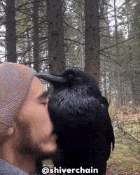 Man Explode GIF