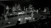 aquÃƒÂ­ me tienes santiago cruz GIF by Sony Music Perú