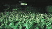 Excited Hands Up GIF by omaband