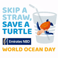 World Ocean Day GIF by EmiratesNBD