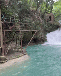 Dolphin Cove Water GIF
